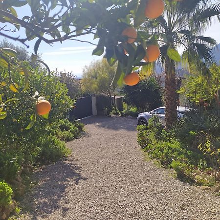 456 Chemin De La Pinede Daire Menton Dış mekan fotoğraf