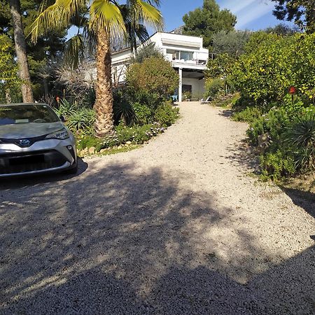 456 Chemin De La Pinede Daire Menton Dış mekan fotoğraf