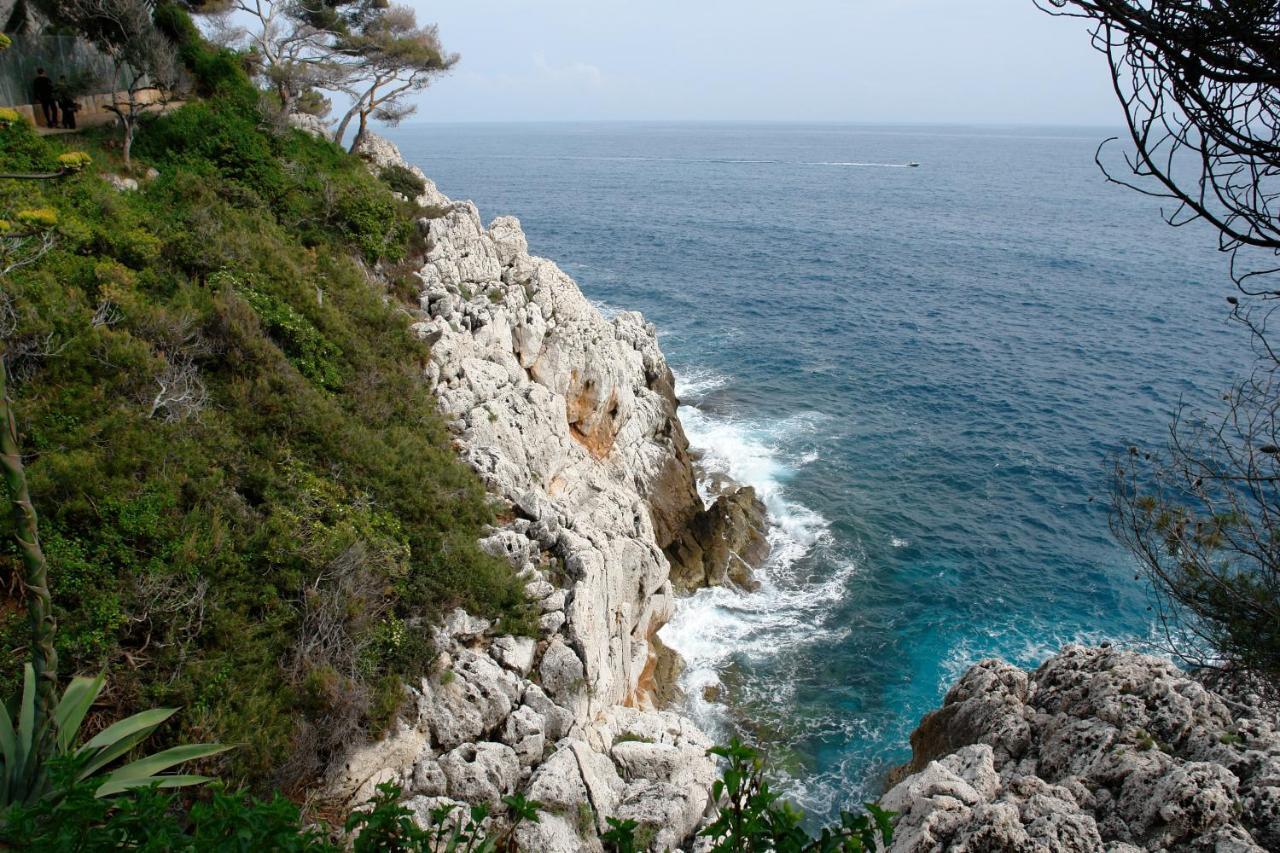 456 Chemin De La Pinede Daire Menton Dış mekan fotoğraf