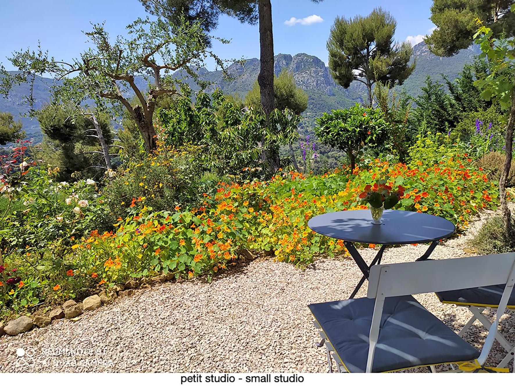456 Chemin De La Pinede Daire Menton Dış mekan fotoğraf