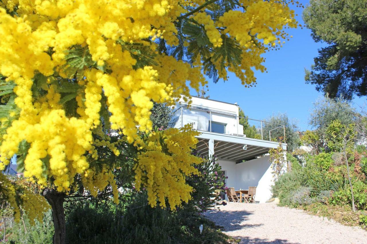 456 Chemin De La Pinede Daire Menton Dış mekan fotoğraf